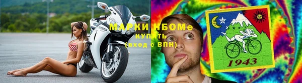 дурь Бородино