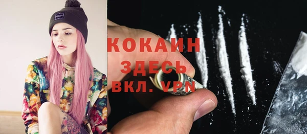 прущие грибы Богородицк