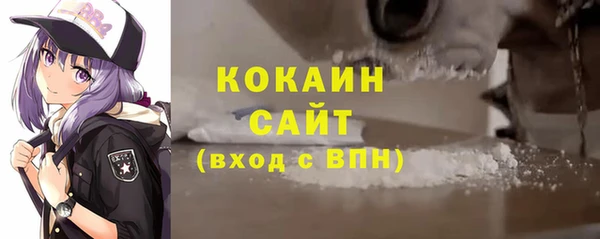 прущие грибы Богородицк