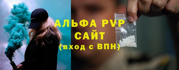 прущие грибы Богородицк