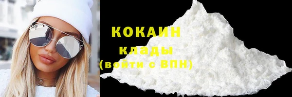дурь Бородино