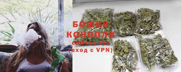 дурь Бородино
