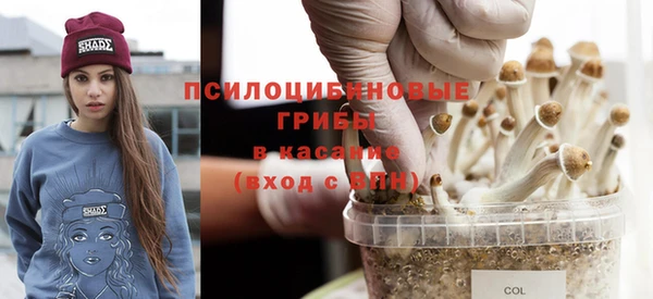 дурь Богданович