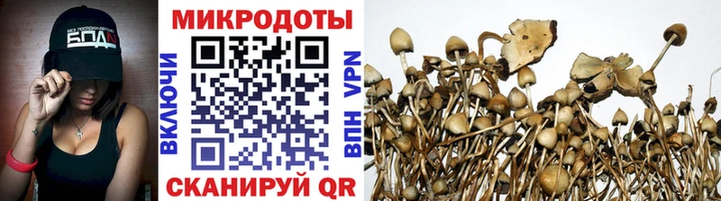 Галлюциногенные грибы прущие грибы  Верхний Уфалей 